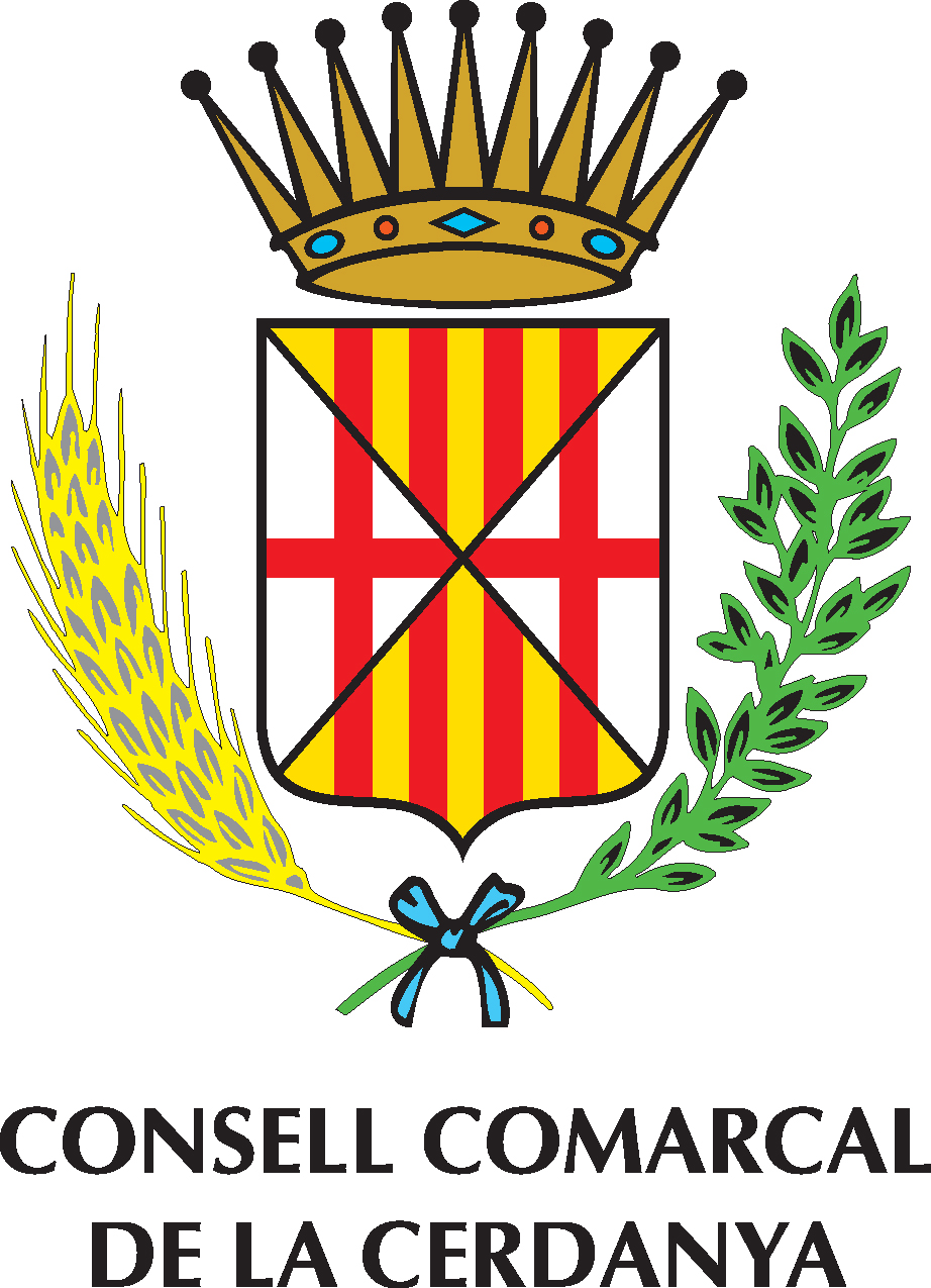 Logo consell comarcal